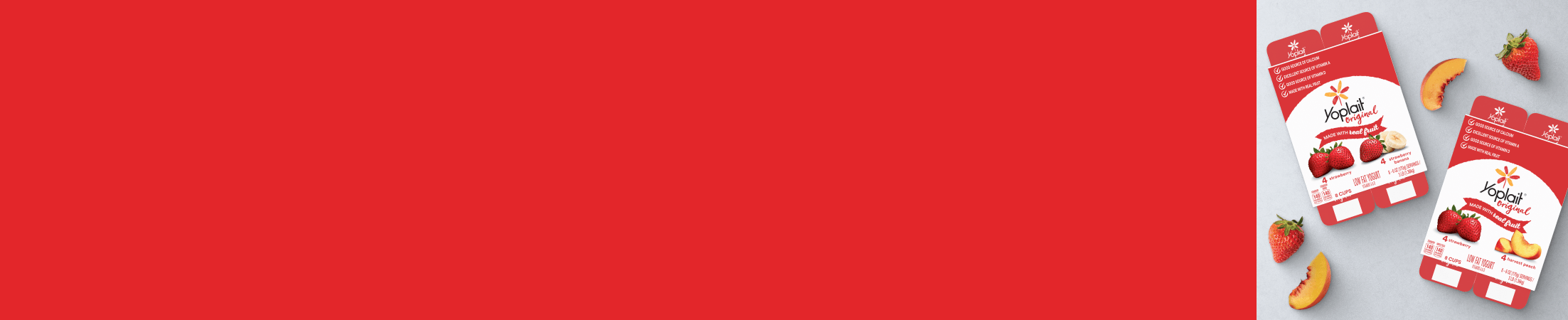 Advertisement for Lactalis Midwest Yogurt. Click to Product Page.